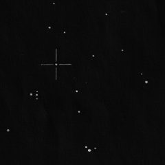 Asteroidi