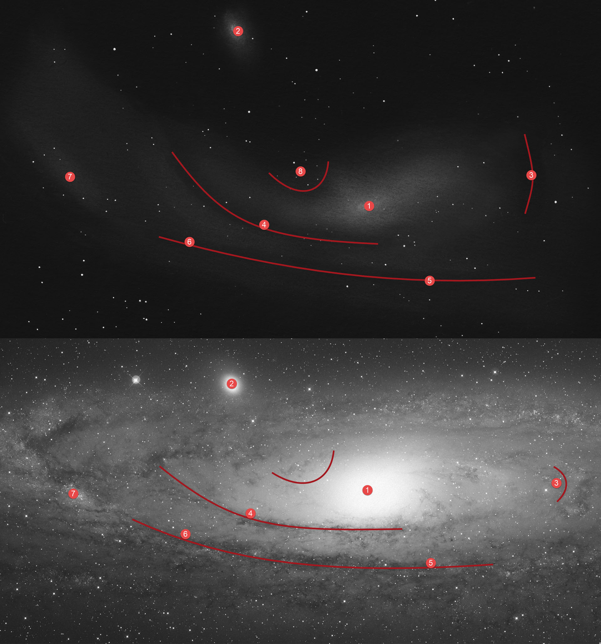 Usporedba skice i fotografije M31