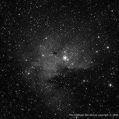 NGC 281 – Pacman