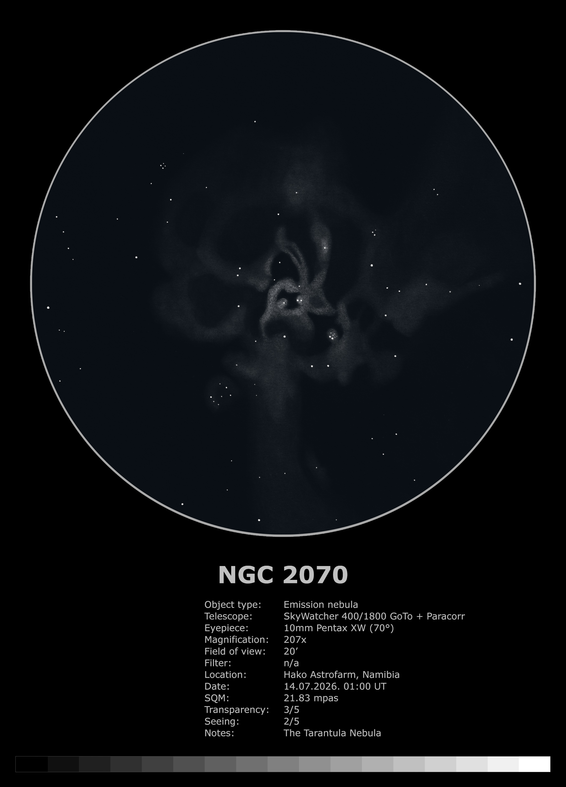 Skica maglice NGC 2070